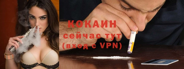 мет Арсеньев