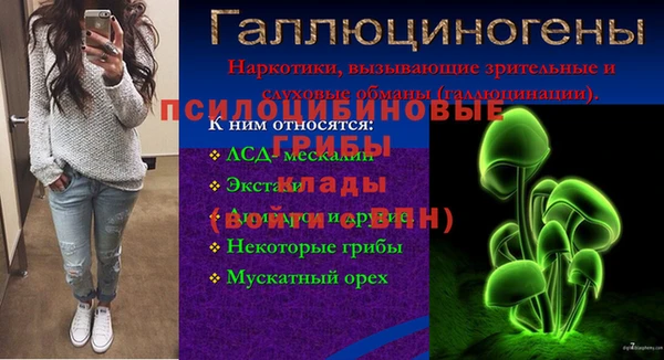 мет Арсеньев