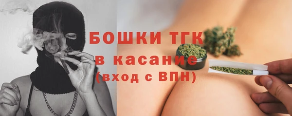 spice Аркадак