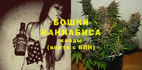 spice Аркадак