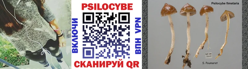 кракен ТОР  Дюртюли  Псилоцибиновые грибы прущие грибы 